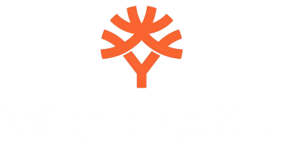 partners who work with bcgame